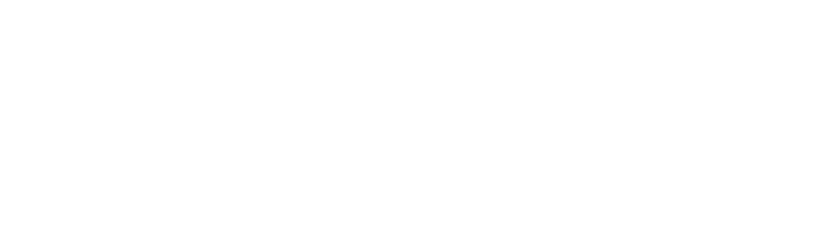 bison modular